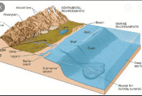 Pengertian sedimentasi;proses,faktor,proses