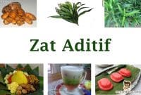 Zat-Aditif