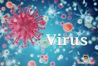 pengertian-virus-biologi